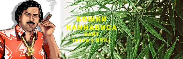 кокс Гатчина