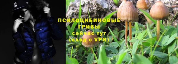 кристаллы Осинники